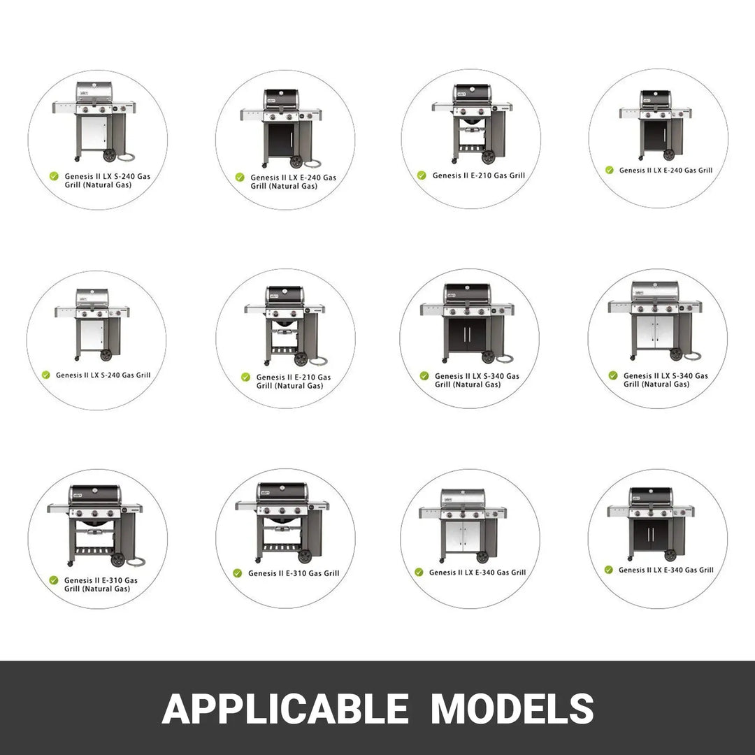 Grill Rotisserie Kit