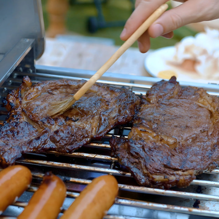 Tabletop Gas Grill